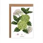Botanical Hydrangea Card, thumbnail 2 of 2