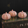 Set Of Three Terracotta Light Up Pumpkin Decorations, thumbnail 2 of 5