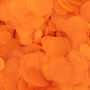 Orange Wedding Confetti | Biodegradable Paper Confetti, thumbnail 2 of 7