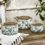 Personalised Gift Set Of Three Fiorella Teal Botanical Planters, thumbnail 3 of 10