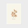 Pink Floral Dianthus Cottage Garden Botanical Print, thumbnail 2 of 4