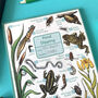 Pond Dipping Journal Notepad, thumbnail 11 of 11