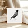 Starling Bird Hand Drawn Greeting Card, thumbnail 1 of 6