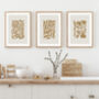 Set Of Three Modern Abstract Floral Art Prints For Home, thumbnail 3 of 6