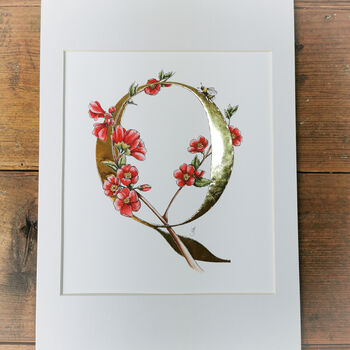 Q Is For Quince Illuminated Botanical Print, 3 of 6