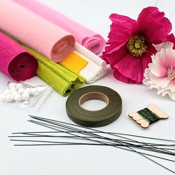 Pink Crepe Paper Flower Craft Kit, 2 of 5