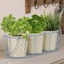Home Grown Indoor Plant Pots In Basket, thumbnail 3 of 9