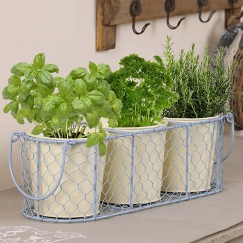 Home Grown Indoor Plant Pots In Basket, 3 of 9