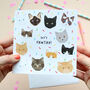 Cat Birthday Cards, thumbnail 6 of 6