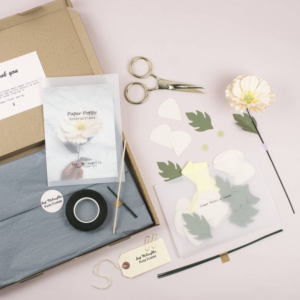 Image of Make Your Own Icelandic Poppy Kit