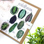 Calathea Plant Leaf Card, thumbnail 1 of 9