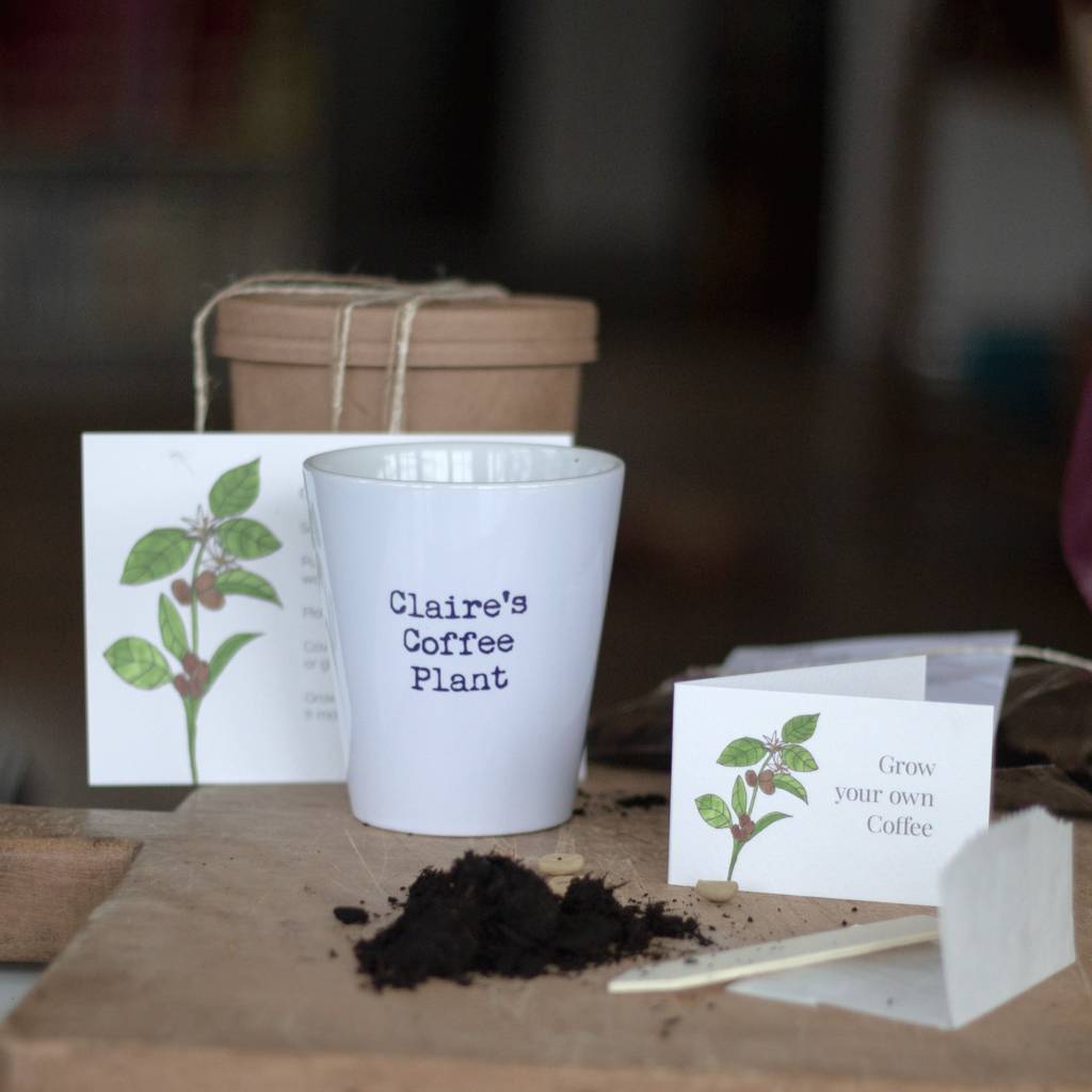 personalised grow your own coffee kit by snapdragon
