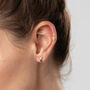 Gold Plated Moon And Star Stud Earrings, thumbnail 2 of 4