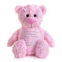 Personalised Embroidered New Baby Bear, thumbnail 1 of 1