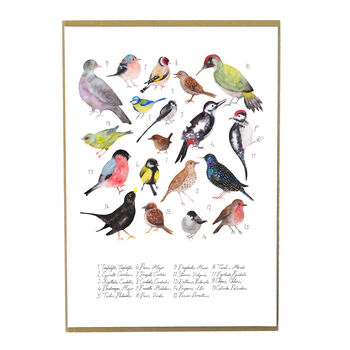 Aves British Garden Birds Art Print, 4 of 5