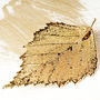 Natural Birch Leaf Brooch In Gold Or Silver, thumbnail 3 of 12