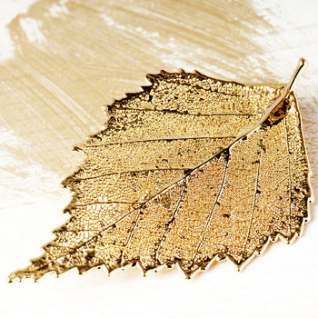 Natural Birch Leaf Brooch In Gold Or Silver, 3 of 12