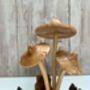 Handmade Wooden Mushroom Ornament Natural Decor And Gift, thumbnail 3 of 10