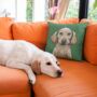 Personalised Pet Portrait Cushion, thumbnail 1 of 11