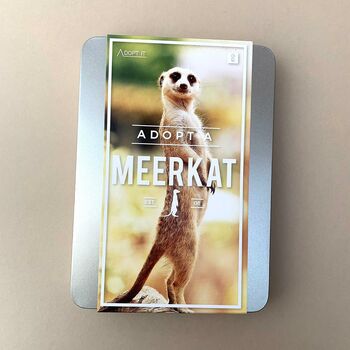 Adopt A Meerkat Gift Tin, 4 of 4