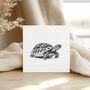 Hand Drawn Tortoise Illustration Greeting Card, thumbnail 3 of 6