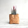 Personalised Mother's Day Plant In Leather Paper Bag, thumbnail 1 of 5