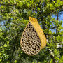 Bamboo Bee Base Hanging Habitat, thumbnail 2 of 5