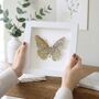 Personalised Map Location Butterfly Print Gift, thumbnail 1 of 4