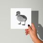 Naos The Duckling Wildlife Greeting Card, thumbnail 9 of 9