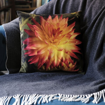 Orange Dahlia Velvet Cushion, 3 of 5