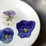 Real Pressed Pansies Ceramic Trinket Dish, thumbnail 2 of 6