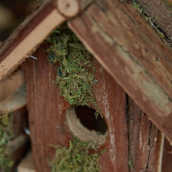 Meadow Vale Bird House And Garden Planter, 3 of 8