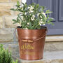 Personalised Copper Anniversary Bucket Planter Gift, thumbnail 1 of 3
