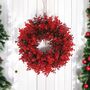 Red Christmas Outdoor Eucalyptus Wreath, thumbnail 1 of 6