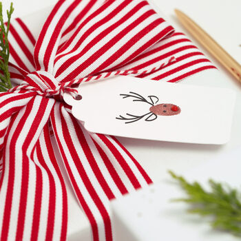 Make Your Own Christmas Reindeer Gift Tag Making Kit, 8 of 9