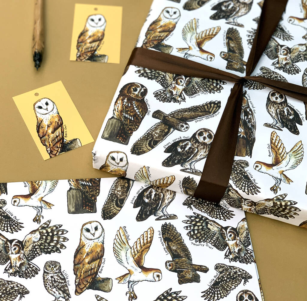 Owls Of Britain Wrapping Paper Set, 1 of 8