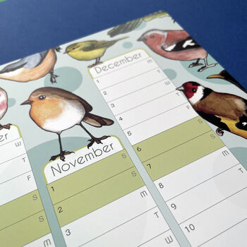 2025 Garden Birds Wall Calendar And Year Planner, 6 of 9