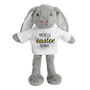 Personalised Easter Bunny With T Shirt, thumbnail 3 of 3
