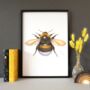 Giclée Fine Art Bee Print, thumbnail 1 of 3