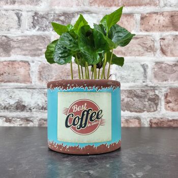 Retro Coffee Houseplant Pot Gift Surprise Plant, 7 of 10