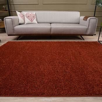The Rugs Plain Terra Shaggy Rug, 11 of 12