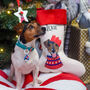 Personalised Party Dog Christmas Present Stocking, thumbnail 8 of 12