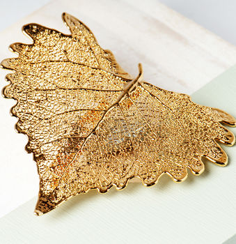 Natural Cottonwood Heart Leaf Gold Or Silver Brooch, 2 of 12