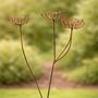 Rusty Metal Cow Parsley, thumbnail 1 of 9