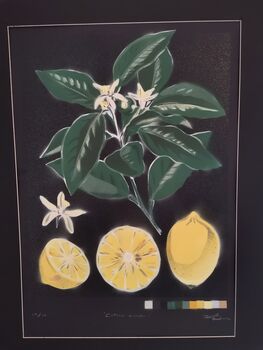 'Citrus Limon' Original Signed Spraypaint, 4 of 12