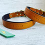 Personalised Padded Luxury Leather Dog Collar, thumbnail 10 of 12
