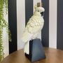 Parrot Candle Holder White, thumbnail 4 of 5