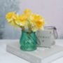 Faux Daffodils In Glass Vase, thumbnail 10 of 10