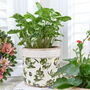Vintage Olive Planter, thumbnail 3 of 5