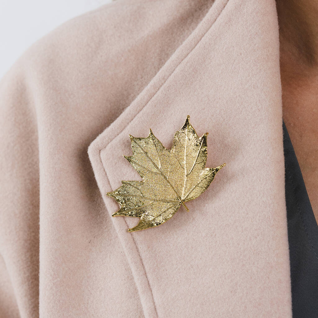 Natural Canadian Maple Leaf Silver Or Gold Brooch, 1 of 9
